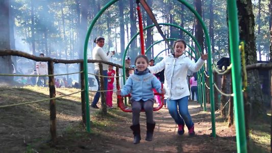 Bosque Del Ciclo Verde